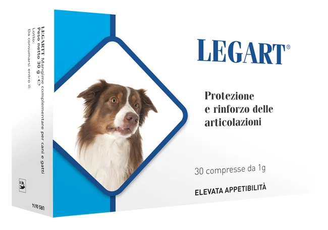 dottorbianchi1-2099053