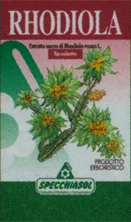 dottorbianchi1-2146935