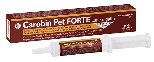 dottorbianchi2-2170676