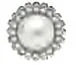 dottorbianchi2-2191704