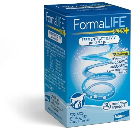 dottorbianchi2-2194392