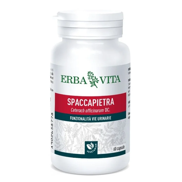 elpisfarma-2280279
