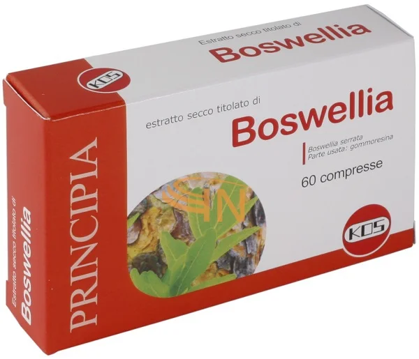 farmaciainlinea-2136284