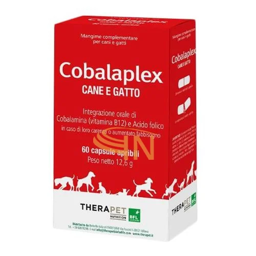 farmaciainlinea-2183677