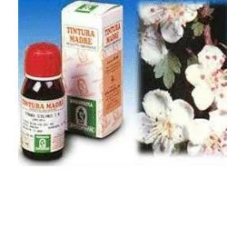 farmaciainlinea-2203750