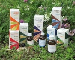 farmaciainlinea-2211455