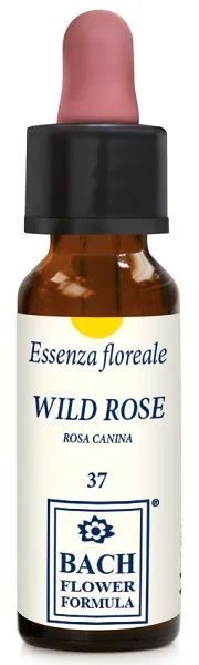 farmaciainlinea-2227139