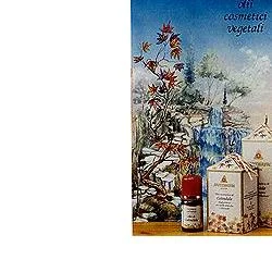 farmaciainlinea-2246835
