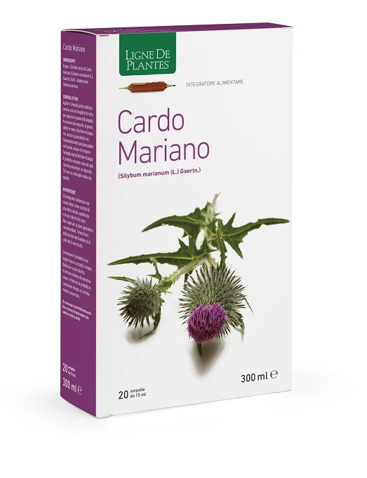 farmaciainlinea-2283487
