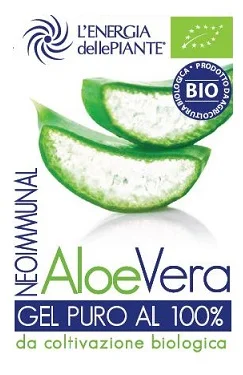 farmaciainlinea-2286601