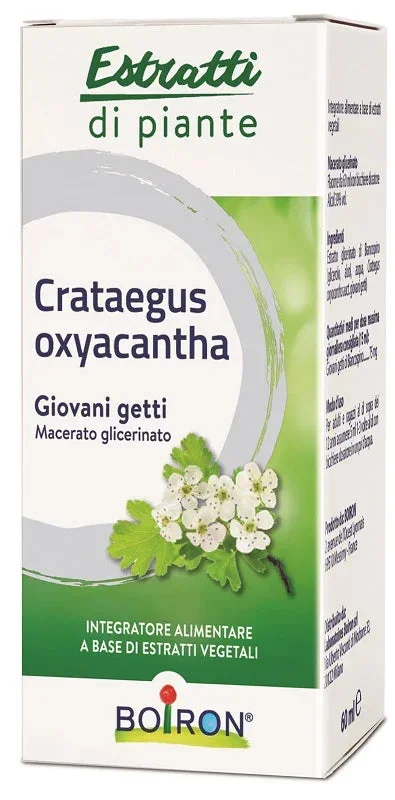 farmaciastornelli11997331