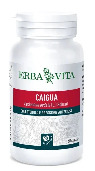 farmaciastornelli12066606