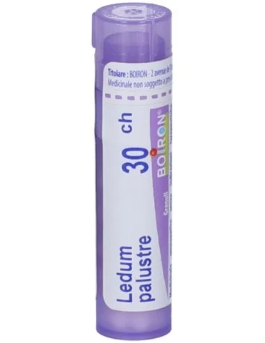farmaciatrampetti-2207604