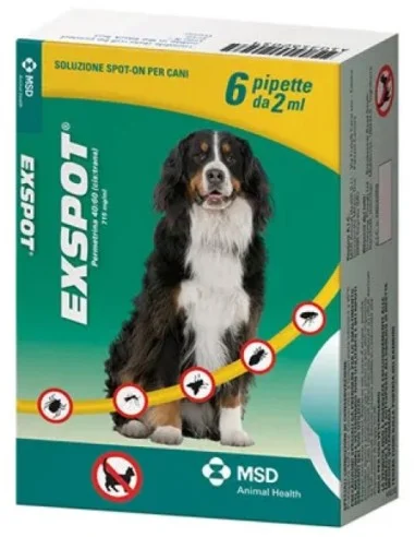 farmaciatrampetti-2220471