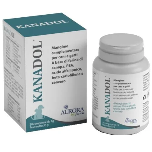 farmanika1-2100905