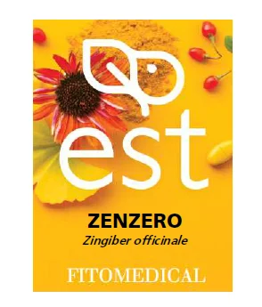 farmasconti1-2226173