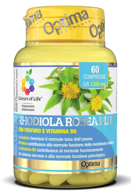 farmasconti1-2255756