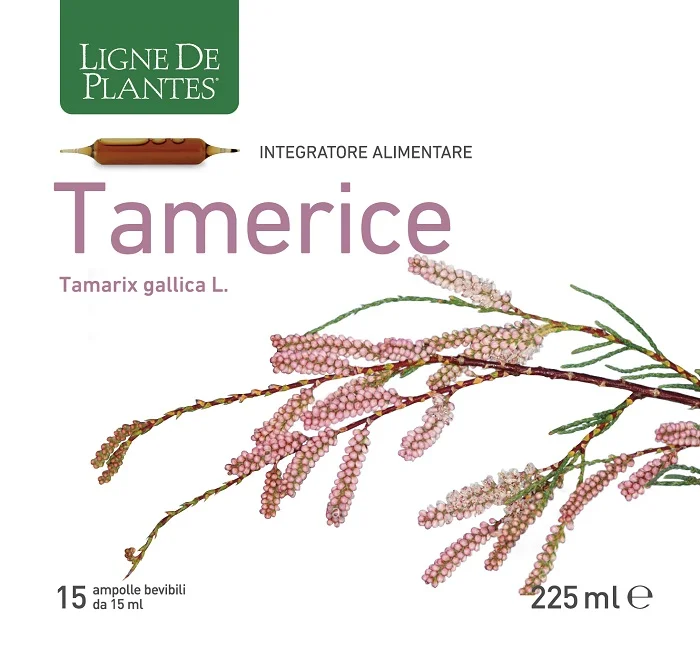 farmasconti2-2161174
