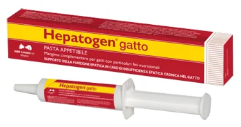 farmasconti2-2183858