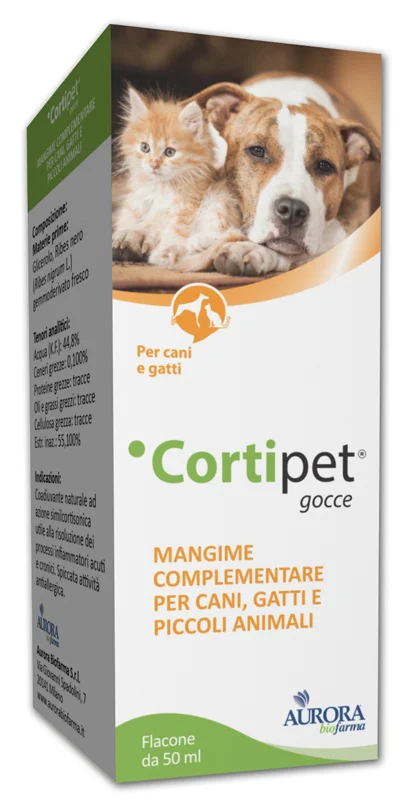 farmasconti2-2206604