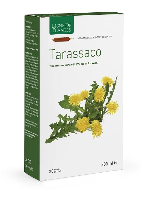 farmasconti2-2207167