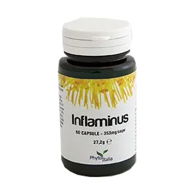 farmasconti2-2223099