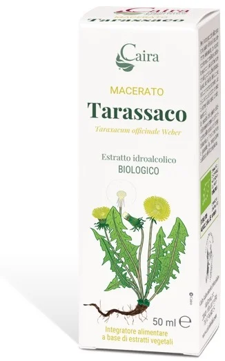 farmasconti2-2225337