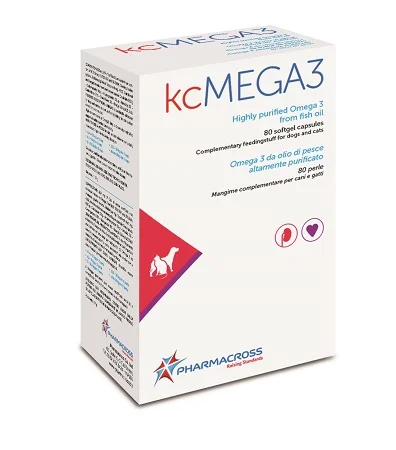 farmasconti2-2230067