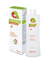 farmasconti2-2235200