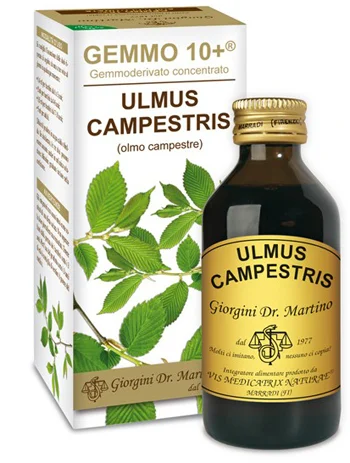 farmasconti2-2248520