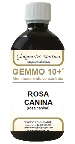 farmasconti2-2249406
