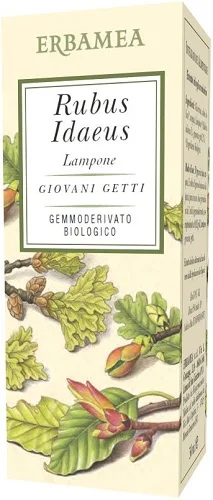 farmasconti2-2258569