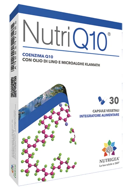 farmasconti2-2259639