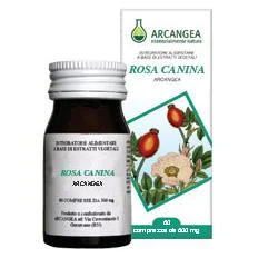 farmasconti3-2128967