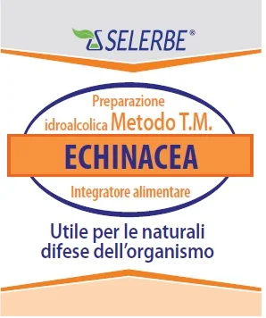 farmasconti3-2149208