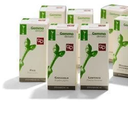 farmasconti3-2161445