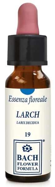 farmasconti3-2196225