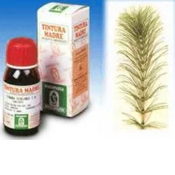 farmasconti3-2235114