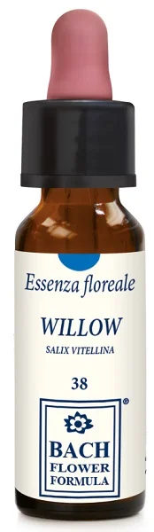 farmasconti3-2257118