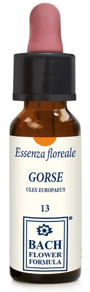 farmasconti3-2257163